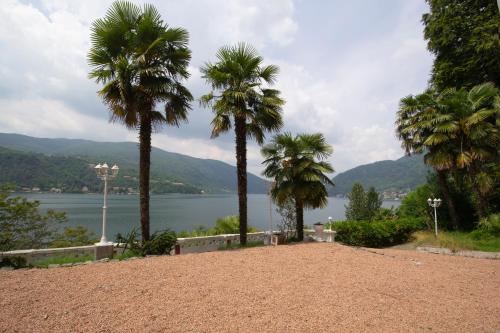 a group of palm trees next to a body of water at Villa Rina Deluxe and Cottage in Porto Ceresio
