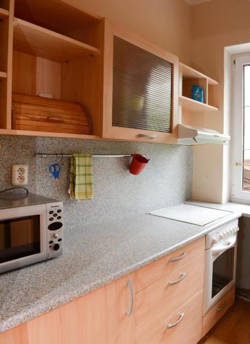 a kitchen with wooden cabinets and a microwave at Hotel Andromeda in Ostružná