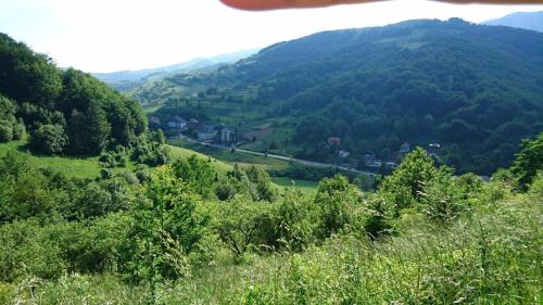 a view of a valley with trees and mountains at GOski Apartman Brzeće Kopaonik in Brzeće