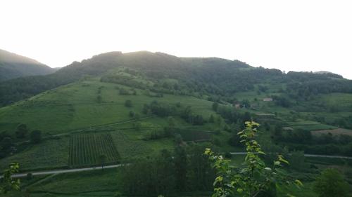 auliculiculiculiculiculiculiculiculiculiculiculiculiculiculic at GOski Apartman Brzeće Kopaonik in Brzeće