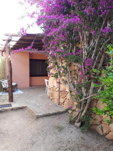 Fotografie z fotogalerie ubytování Mirto v destinaci Porto Taverna
