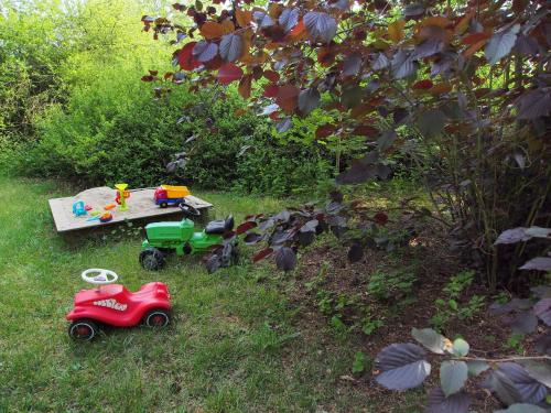 two toy cars and a table in the grass at Ferienwohnung am Dümmer See in Dümmer
