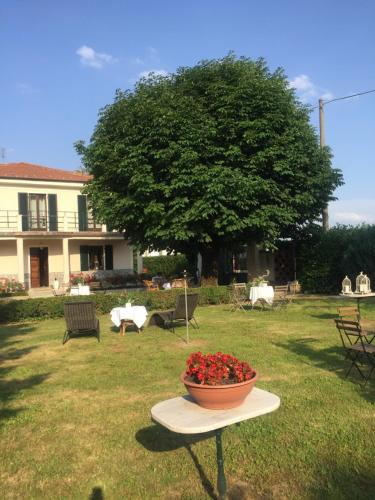 a bowl of flowers on a table in a yard at VILLA LE ROSE in Cavour