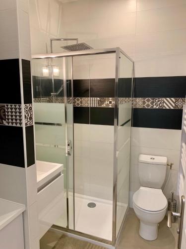 une salle de bain avec toilettes et douche en verre dans l'établissement le petit sémaphore, à Saint-Raphaël
