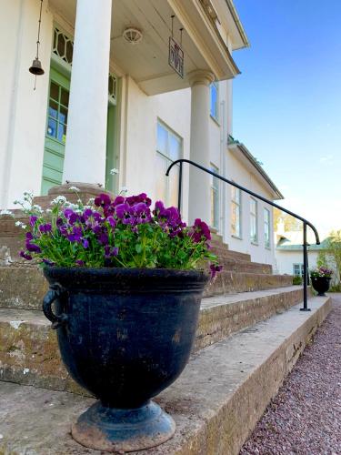 a blue planter with purple flowers in front of a building at Drottning Victorias Hotell & Vilohem in Borgholm