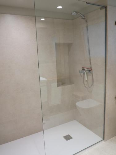 a shower with a glass door in a bathroom at El Oasis de la Estafeta in Pamplona