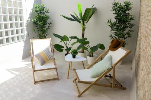 a room with potted plants and a chair at El Oasis de la Estafeta in Pamplona