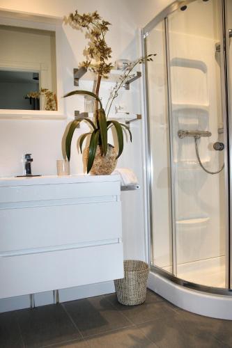 a bathroom with a sink and a shower with a plant at Domaine Jolivent in Lac-Brome