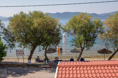 a beach with trees and people on the water at The Twins in Glífa