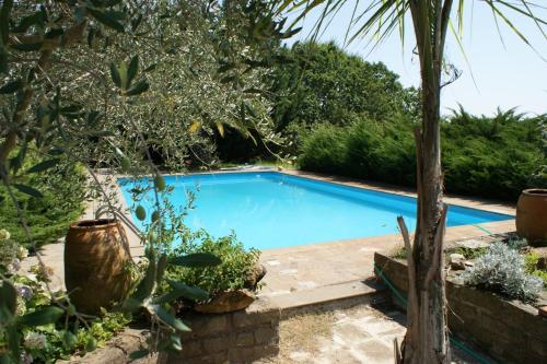 a swimming pool in a garden with plants at Villa con piscina in Canale Monterano