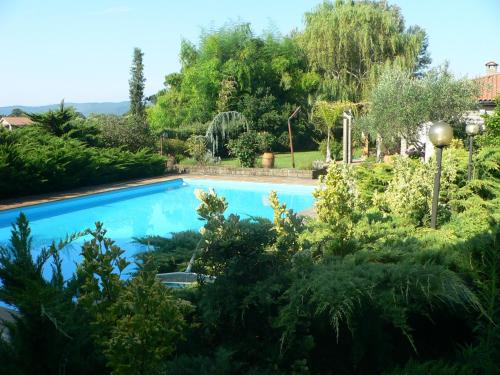 a swimming pool in a garden with trees at Villa con piscina in Canale Monterano