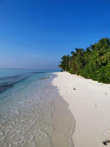 a white beach with trees and the ocean at Faima Fishing Lodge at Daravandhoo in Baa Atoll