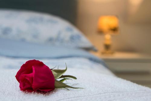 a red rose sitting on top of a bed at Red Rose Apartment in Portorož