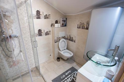 a bathroom with a shower and a toilet and a sink at Red Rose Apartment in Portorož
