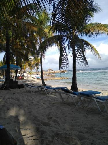 two lounge chairs and palm trees on a beach at Ti-Colibris in Saint-François