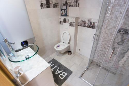 a bathroom with a toilet and a shower and a sink at Red Rose Apartment in Portorož