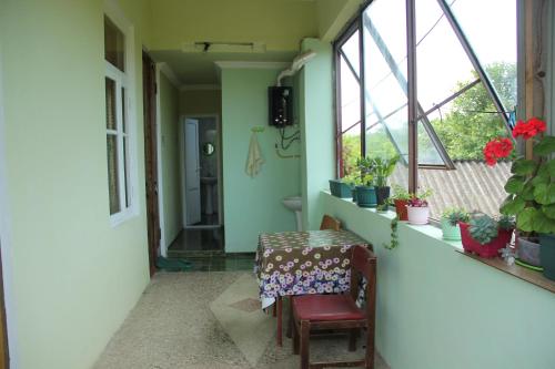 Fotografie z fotogalerie ubytování Lukas's house v destinaci Kobuleti