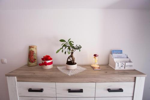 a wooden dresser with plants on top of it at Red Rose Apartment in Portorož