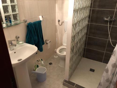 a bathroom with a sink and a toilet and a shower at Terra da Eira - Villa mit Pool Western Algarve in Vila do Bispo
