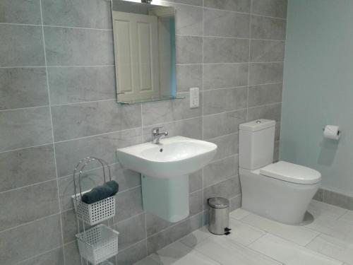 a bathroom with a sink and a toilet and a mirror at Necarne Manor Apartment in Irvinestown