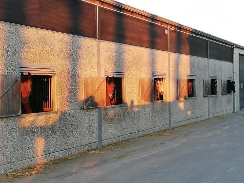 Imagen de la galería de B&B De Waeterhoeve, en Snaaskerke