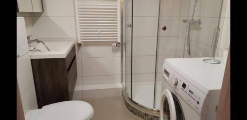 Kúpeľňa v ubytovaní flats-4u - Cosy, quiet & clean flats in the city ( Apt. 11 )