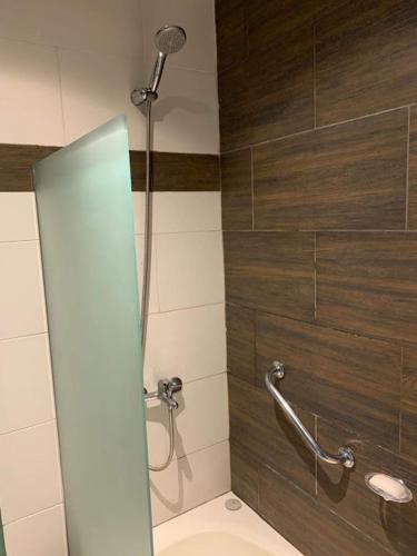 a bathroom with a shower and a toilet at Departamento Dina Huapi Bariloche in Dina Huapi