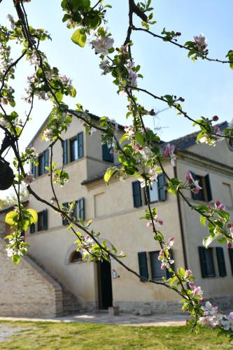 a building with a bunch of flowers in front of it at I Ciliegi in Osimo