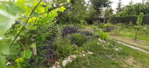 a garden with purple flowers and a stone wall at SAUNA Dom in Pezinok
