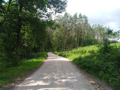 Gallery image of Domki Letniskowe Szczycionek in Szczytno