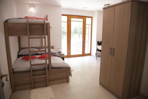 sypialnia z łóżkiem piętrowym i drabiną w obiekcie Apartments Slap w mieście Slap ob Idrijci