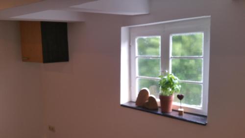 a window in a room with a plant on a shelf at Pilgrims Gästeapartements in Meschede