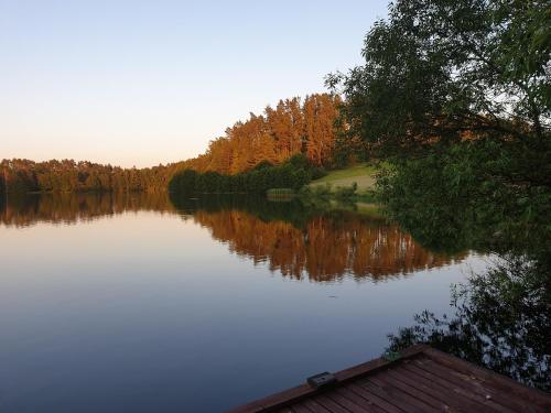 a view of a lake with trees reflecting in it at U Władzia in Gowidlino