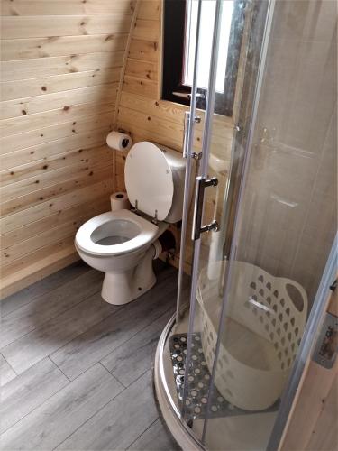 a bathroom with a toilet and a glass shower at shanagarry / Ballycotton Glamping pod in Cork