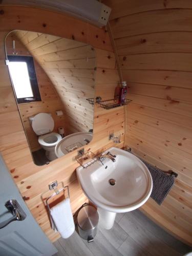 Habitación con baño con lavabo y aseo. en shanagarry / Ballycotton Glamping pod en Cork