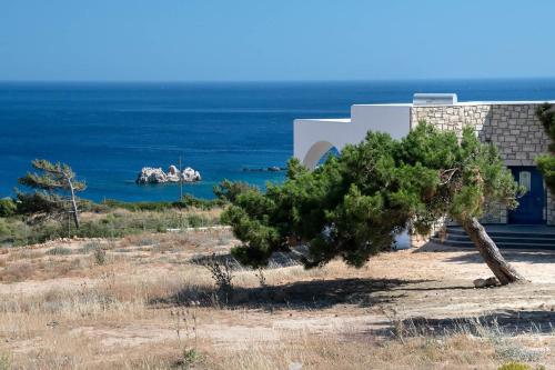 a tree in front of a house with the ocean in the background at Aelia Luxury Villa in Amoopi