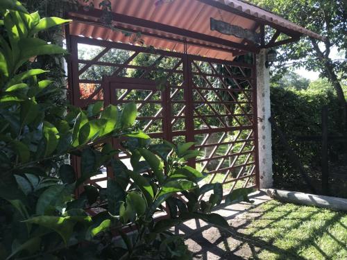 a wooden pergola in a garden with a plant at La Luna by JR in Mariquita