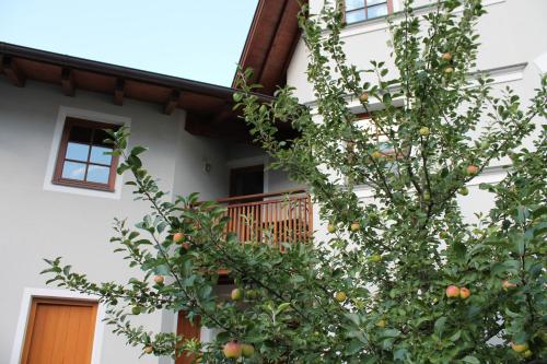 an orange tree in front of a house at Appartement Posthäusl in Sölden
