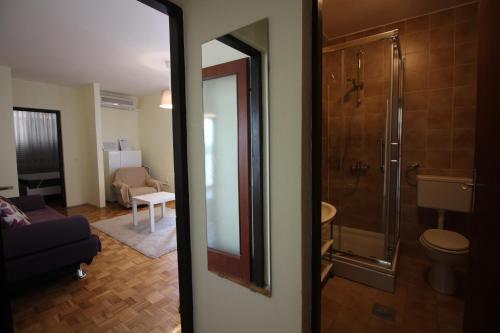 ein Bad mit einer ebenerdigen Dusche und einem WC in der Unterkunft Apartments Nikola in Novi Vinodolski