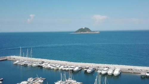 an aerial view of a marina with boats in the water at Agriturismo Nonnamelia in Nasino