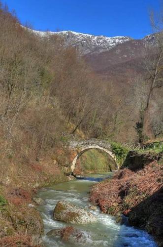 a stone bridge over a river in a forest at Agriturismo Nonnamelia in Nasino