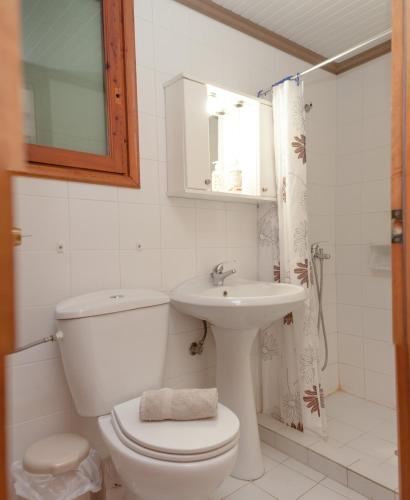 Bilik mandi di Hotel Karagiannis