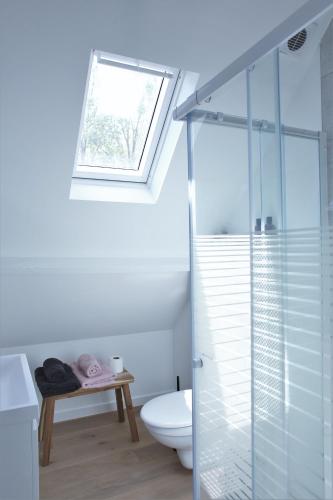 a bathroom with a toilet and a glass shower at Brygga in Bruges