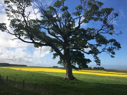 Gallery image of Buckton Farmhouse in Belford