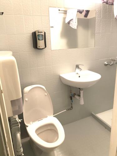 La salle de bains est pourvue de toilettes et d'un lavabo. dans l'établissement Motel oasen, à Roskilde