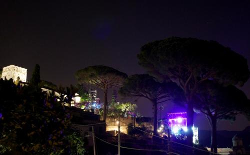 a group of trees with lights at night at Villa Casale Ravello Residence in Ravello