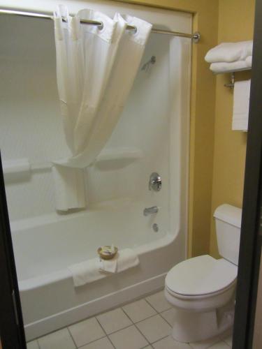 a bathroom with a shower with a toilet and a sink at Microtel Inn & Suites by Wyndham Amarillo in Amarillo