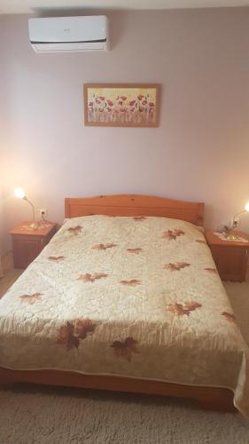 Billede fra billedgalleriet på Вила Керенски i Ribarica