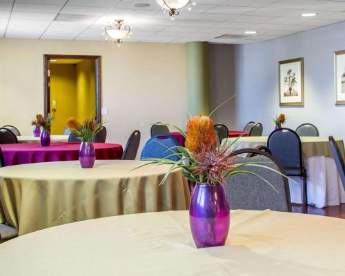 two purple vases sitting on tables in a room at Villa Montes Hotel in San Bruno