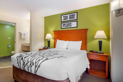 Letto o letti in una camera di Sleep Inn Macon I-75